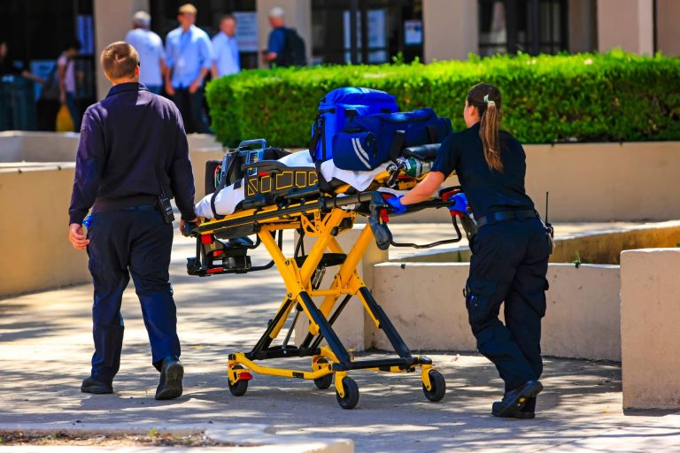 Wellness Transport of Georgia transportation service